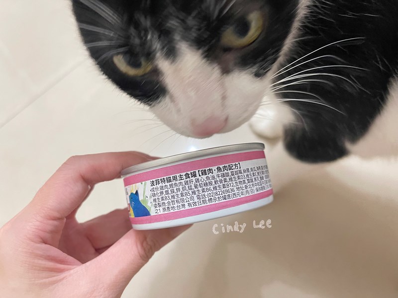 女人知己試用大隊,口碑行銷,部落客行銷,PURRFACT 波菲特貓用主食罐,主食罐,PURRFACT波菲特,貓主食罐,貓罐,PURRFACT波菲特貓用主食罐,魚肉蔓越莓主食罐,鮮嫩雞主食罐,鹿肉雞肉主食罐,牛肉鵪鶉貓主食罐,干貝蠶蛹配方,鱷魚肉白木耳配方,雞肉魚肉配方,安心鶉配方,評價,體驗,適口性佳,心得,成貓適用,高齡貓適用,質地是慕絲狀